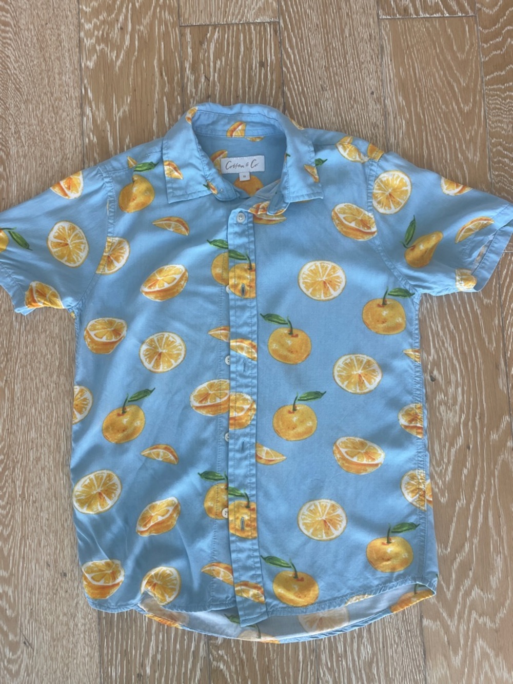 Kids Light Blue Citrus Print Button-Down Shirt